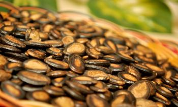 西瓜子的功效与作用