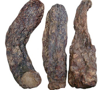 肉苁蓉的功效及禁忌