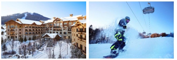 1638942793692917.png image.png