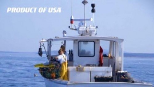 品鲜活美国龙虾，享“羊城”春光