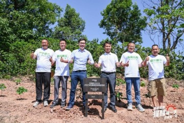 雀巢咖啡2030计划步入云南，以荫蔽树种植赋能云咖迈向深绿